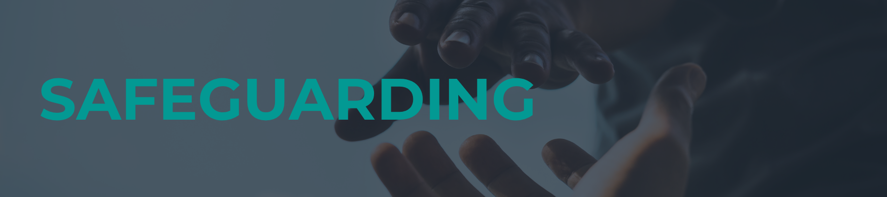 Safeguarding